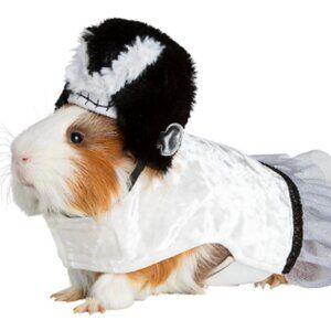 Small Pet Monster Bride Costume